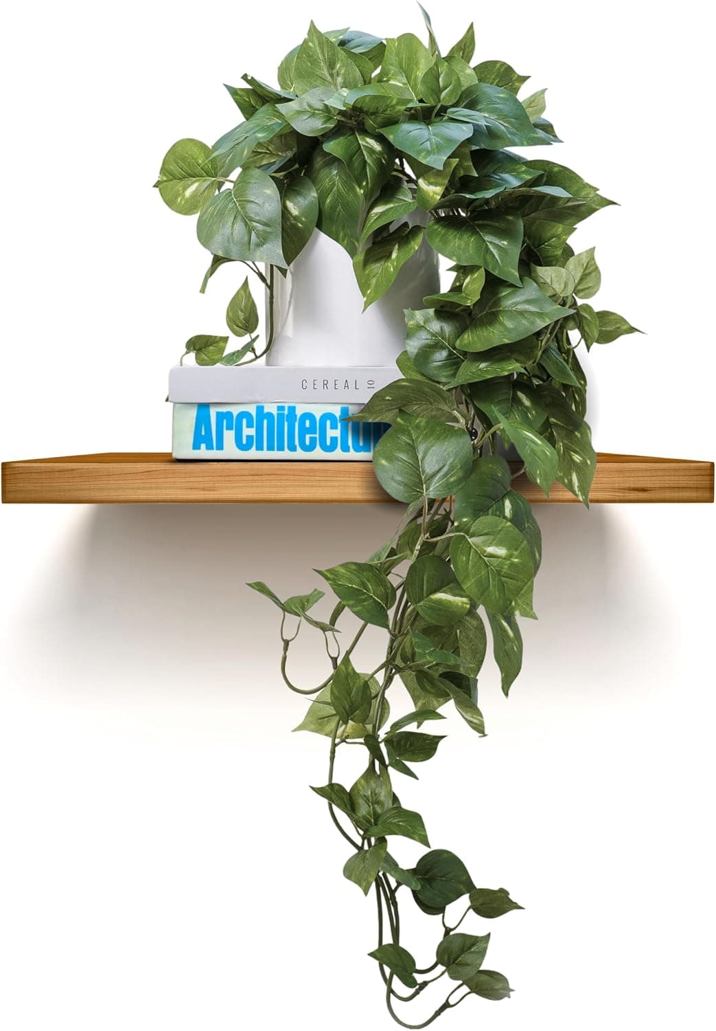 MY ROVALA Silk Hanging Faux Pothos