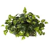 Nearly Natural Pothos Ledge Plant — photo 1