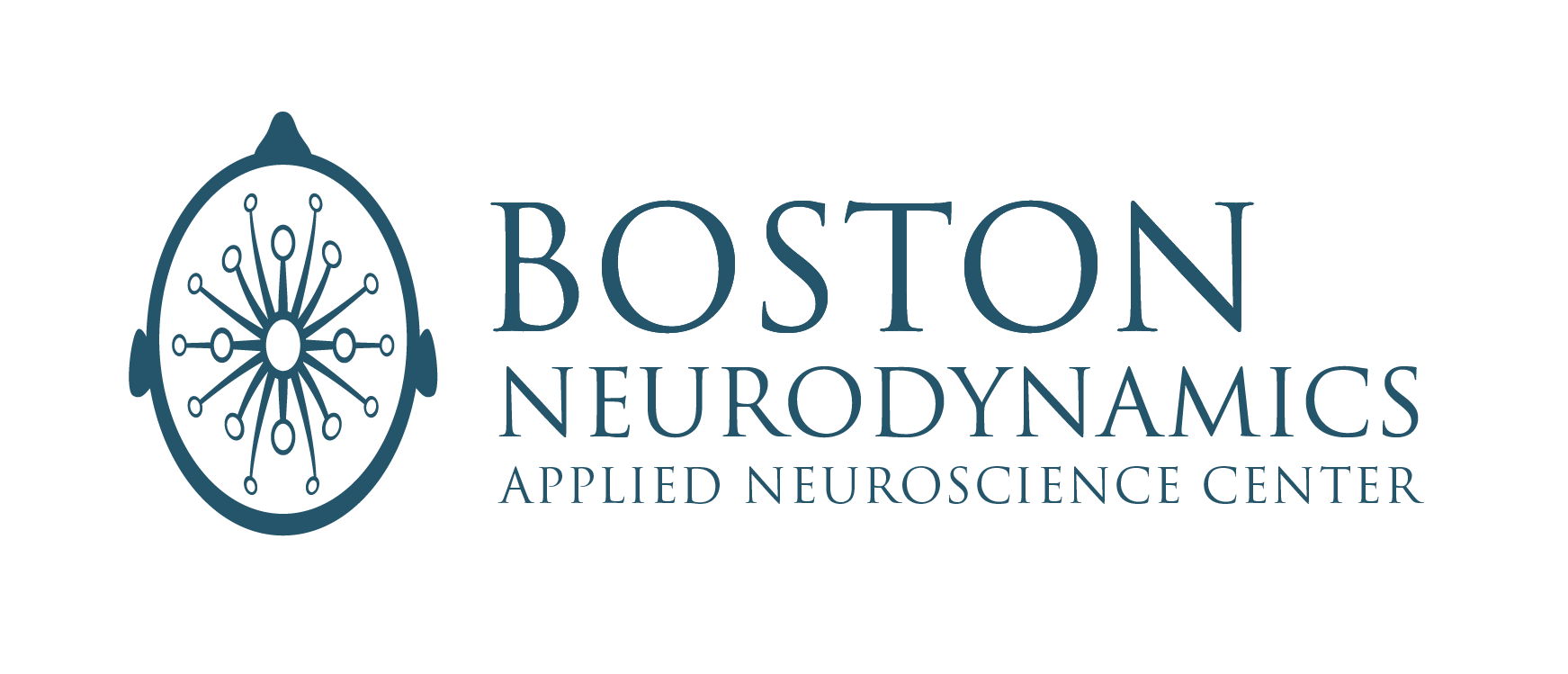 Boston NeuroDynamics