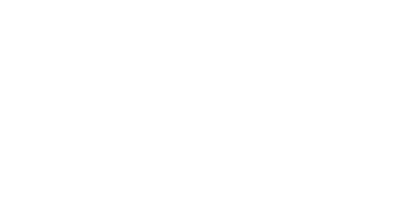 LoneStar Mold Testing