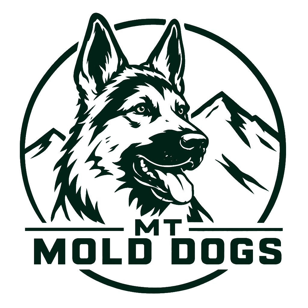 Montana Mold Dogs
