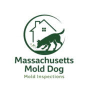 Massachusetts Mold Dog