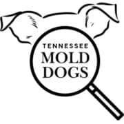 TN Mold Dogs