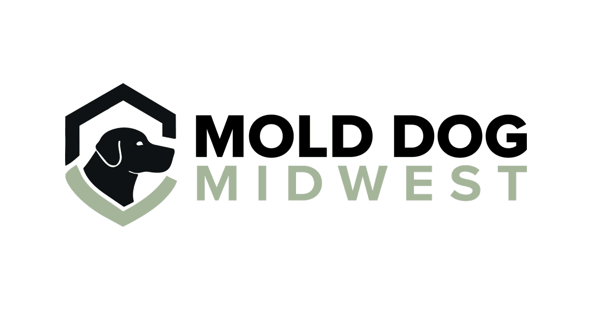 Dogs On Mold