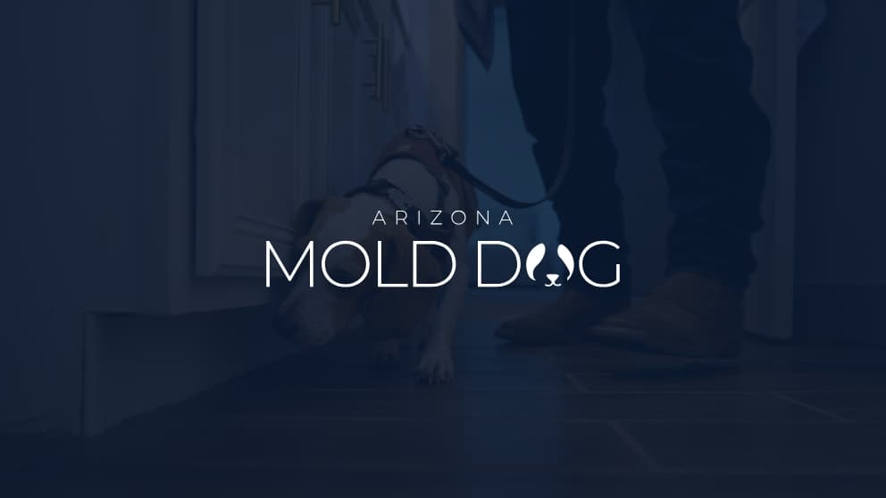 Arizona Mold Dog