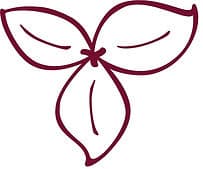 Trillium Manual Therapies