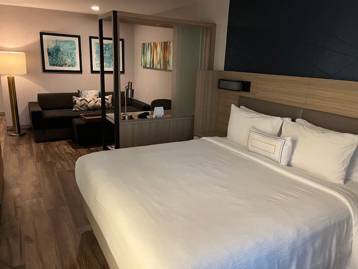 SpringHill Suites by Marriott San Diego Carlsbad — photo 5