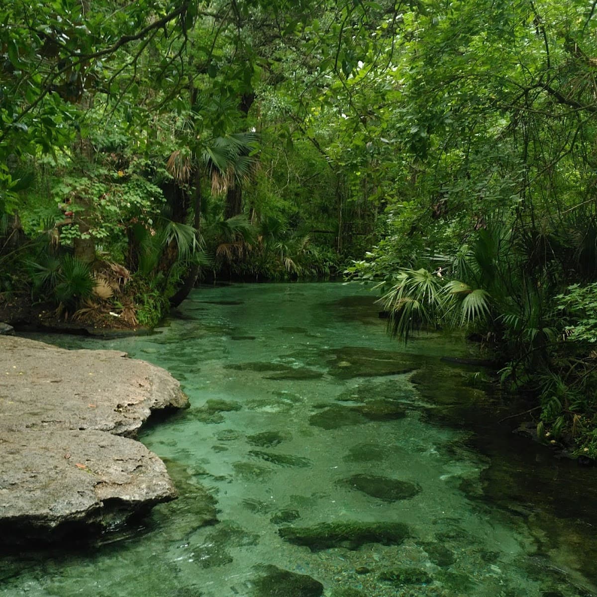 Kelly Park - Rock Springs — photo 4