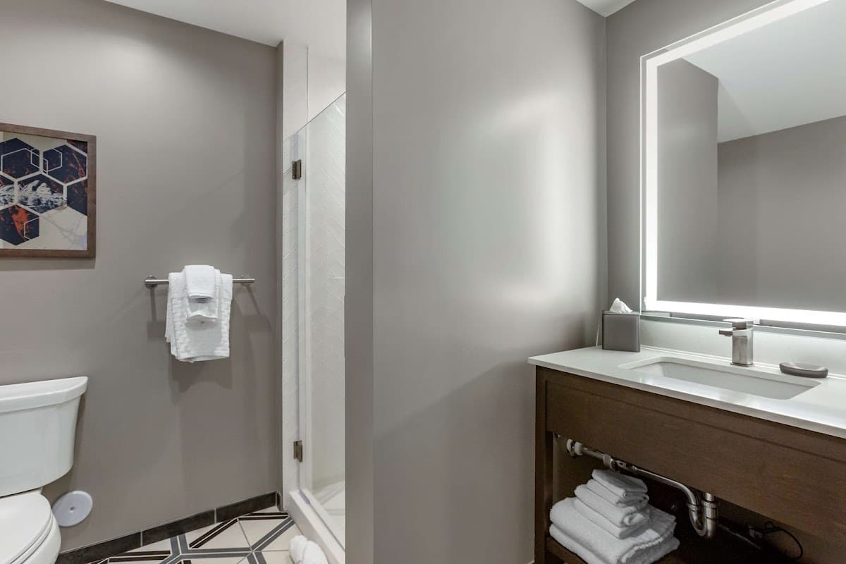 Vīb Hotel by Best Western Phoenix-Tempe — photo 4